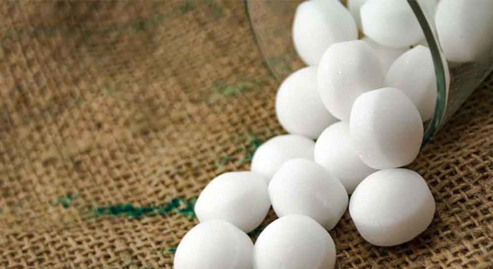 Top 7 Cara Mengusir Dan Membasmi Kecoa Paling Efektif Intiland Com Top 7 Cara Mengusir Dan Membasmi Kecoa Paling Efektif Intiland Com