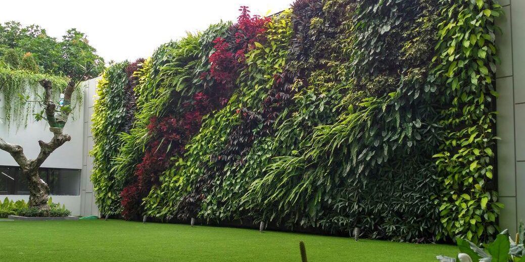 Vertical Garden: dari Membuat hingga Tips & Tricks Merawatnya