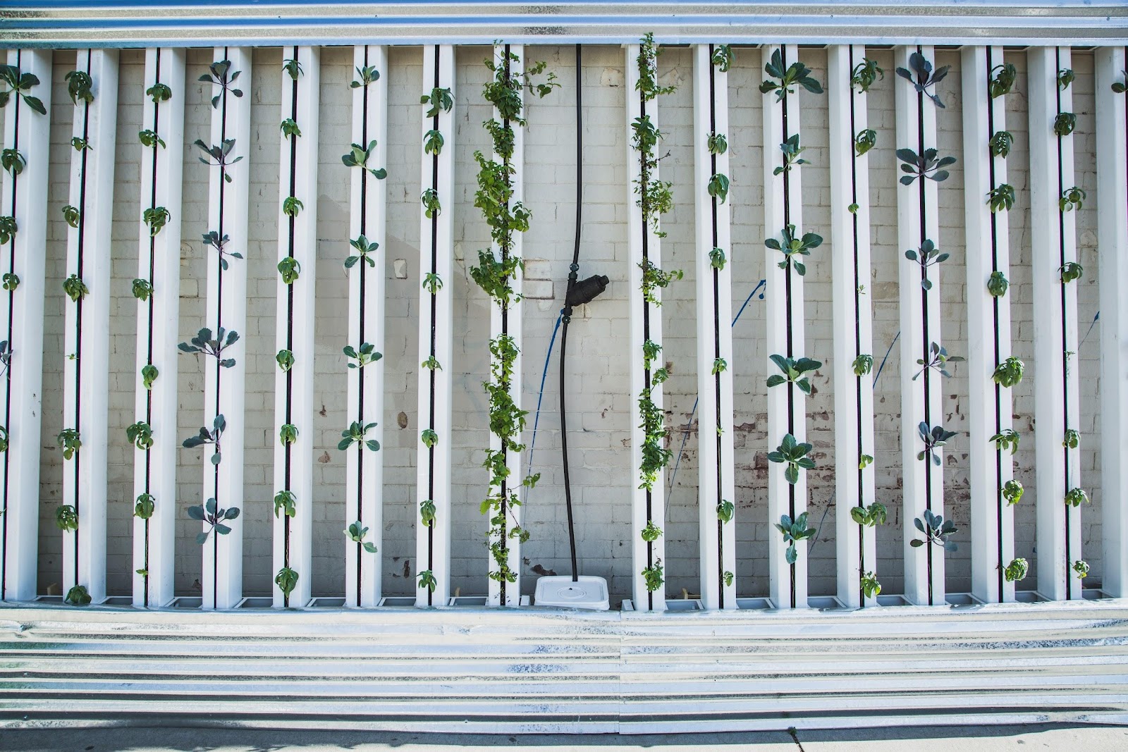 taman vertikal green facade