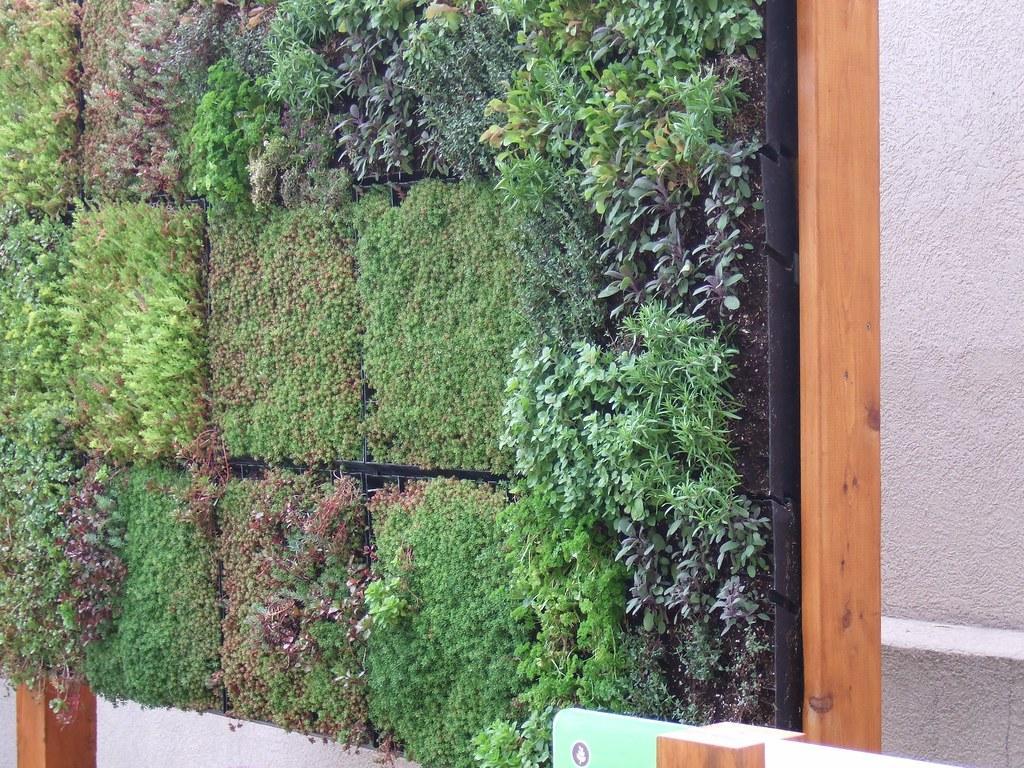 vertical garden pada papan kayu