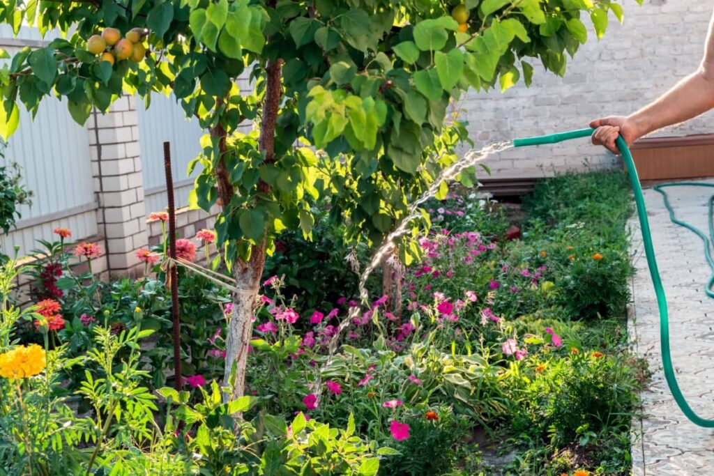 Inspirasi Taman Belakang Rumah