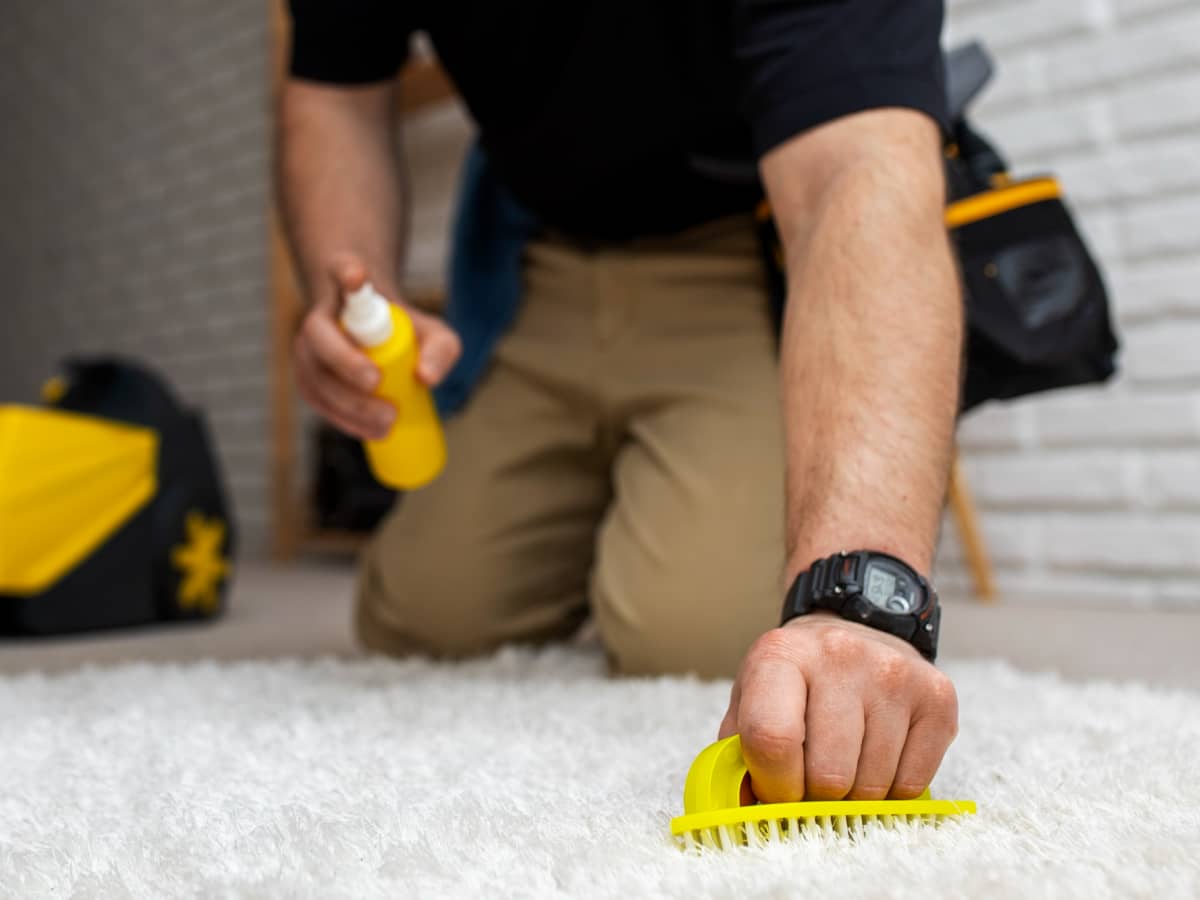 Lakukan Deep Cleaning Secara Berkala